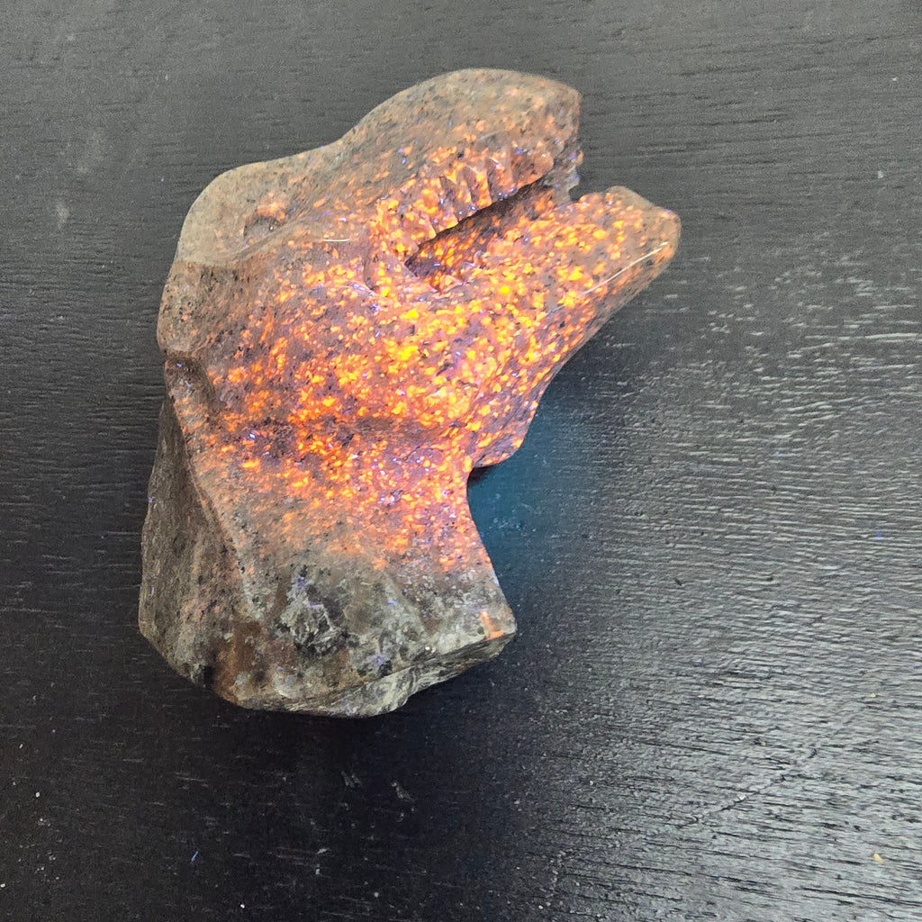Carvings | TRex Yooperlite was 50 RAWR