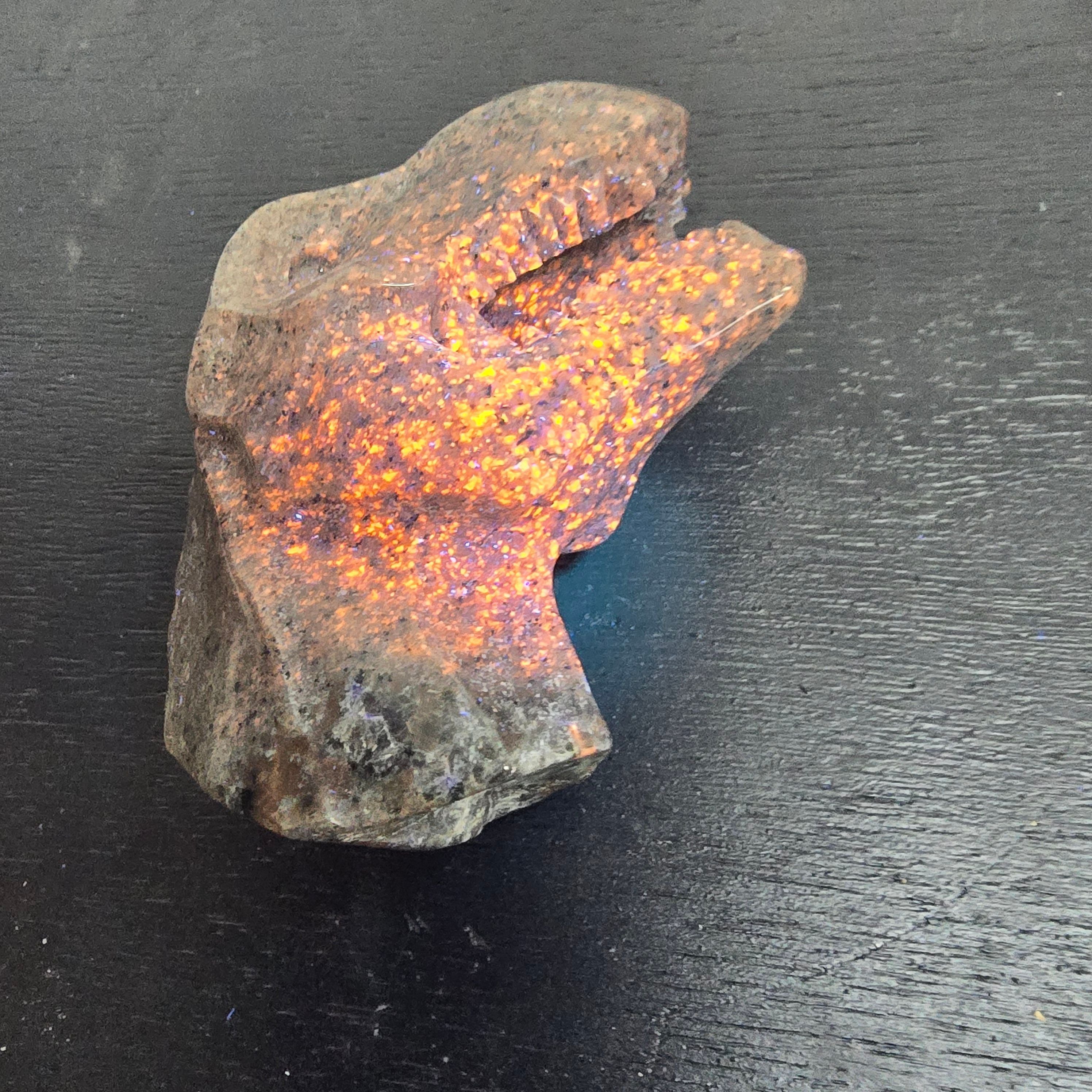 Carvings | TRex Yooperlite was 50 RAWR