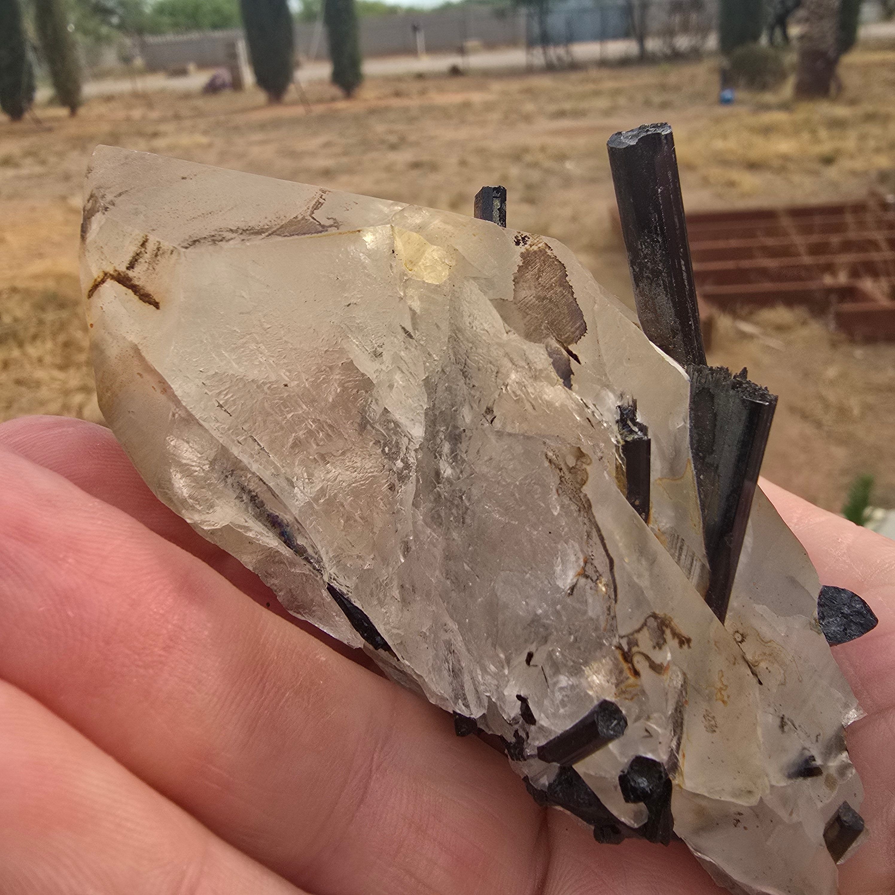 Minerals | Quartz w Tourmaline