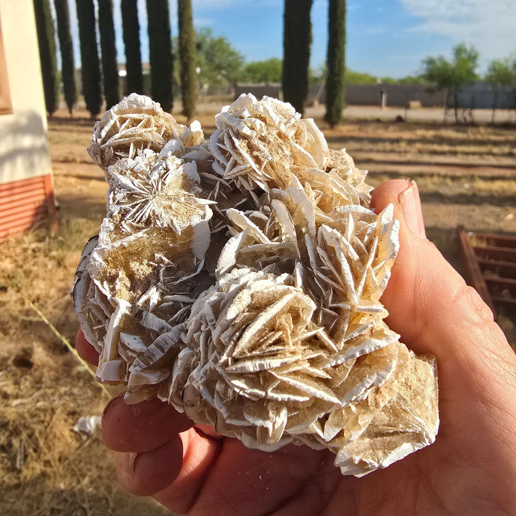 Minerals | Selenite Roses (desert Rose Cluster)