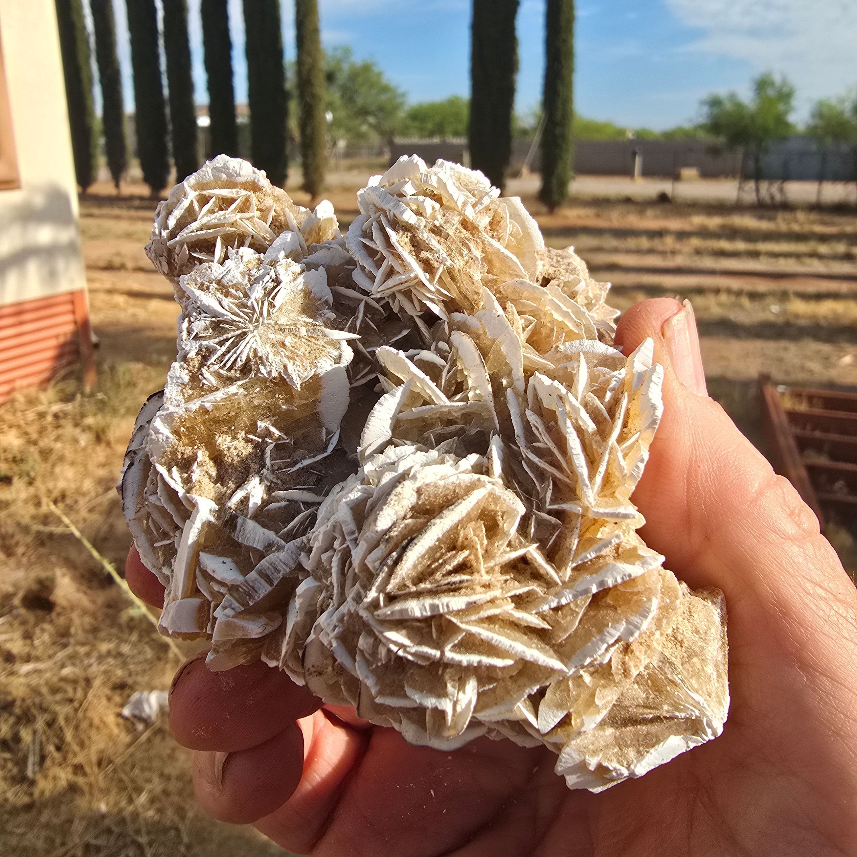 Minerals | Selenite Roses (desert Rose Cluster)