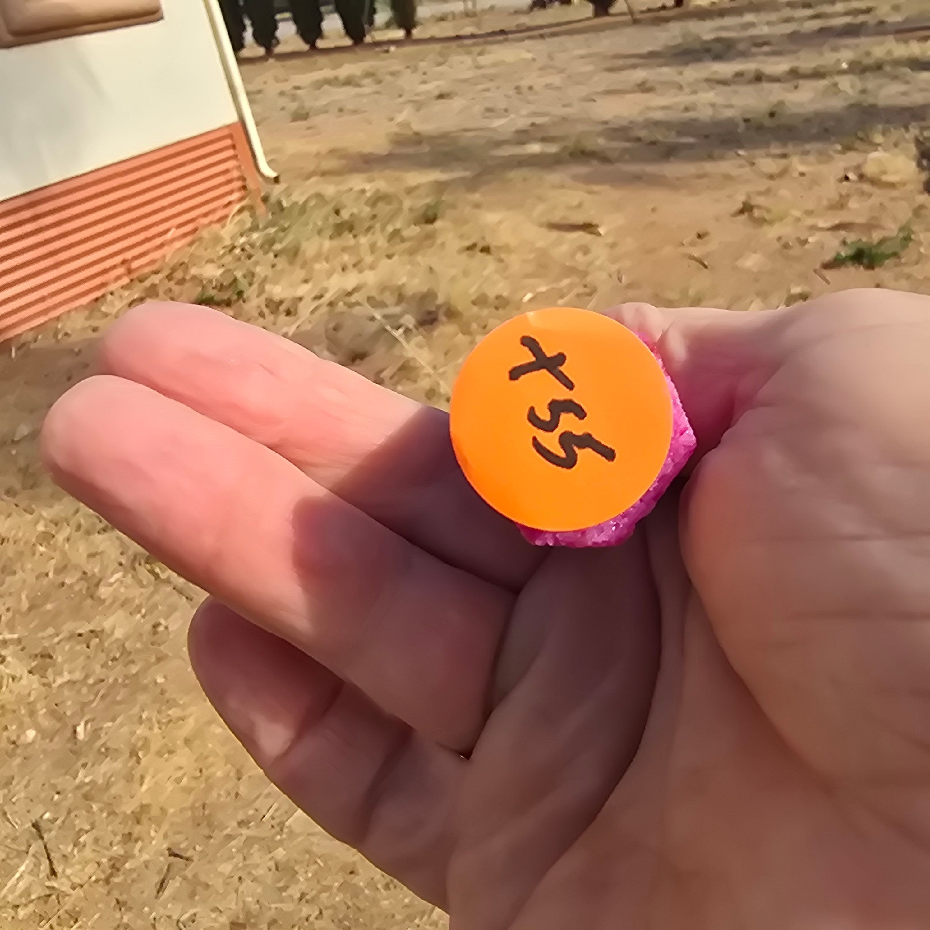 Lab Grown | Corundum Fluorescent