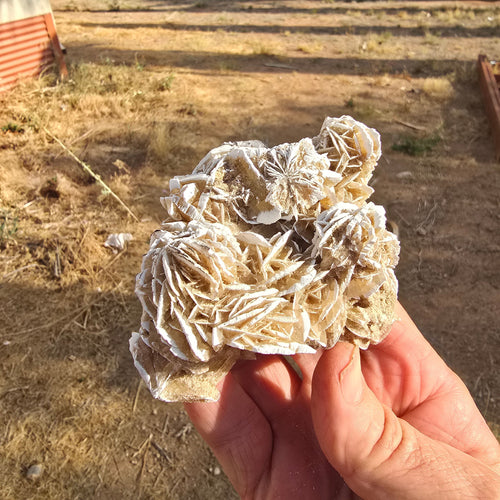 Mineral Specimens  | Selenite Roses (desert Rose Cluster)