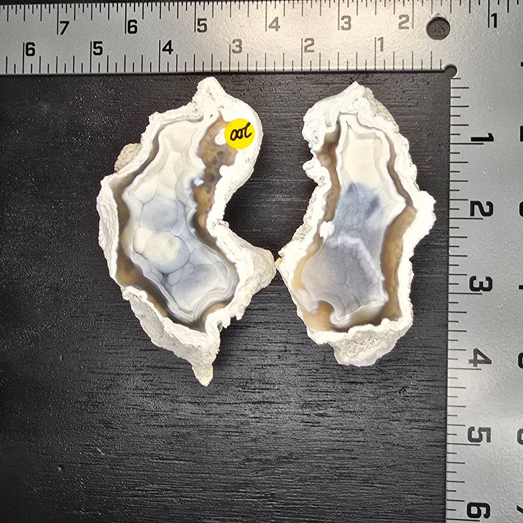 Minerals | Coral Geode Pair Fluorescent