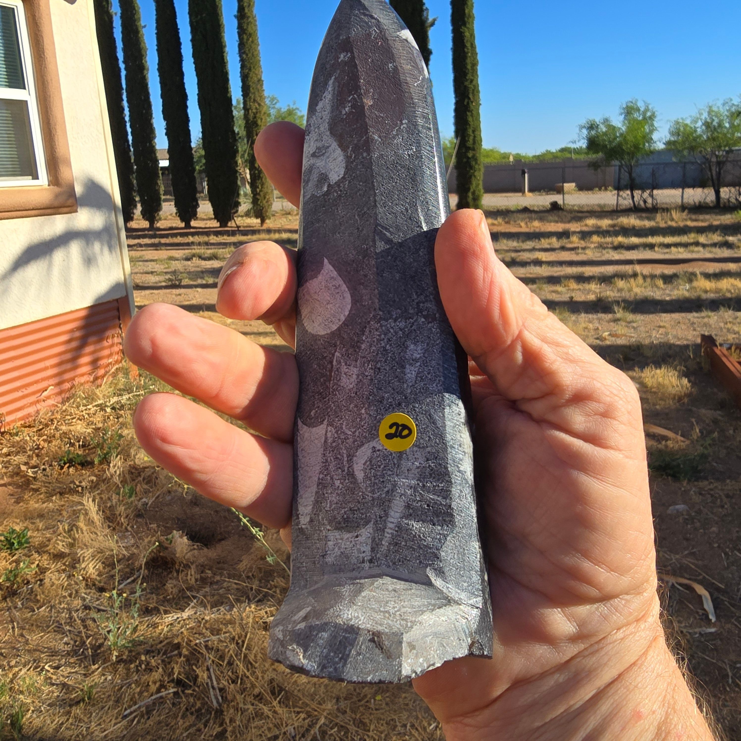Fossils Freestanding Orthoceras T80