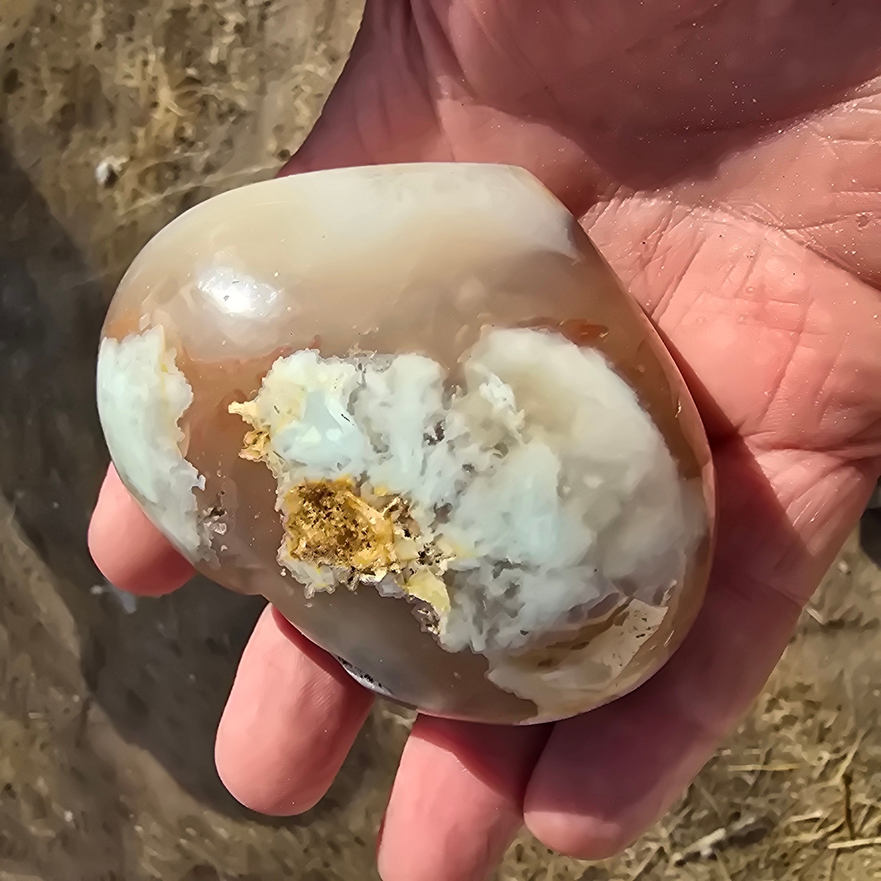 Hearts | Flower Agate Heart was 25