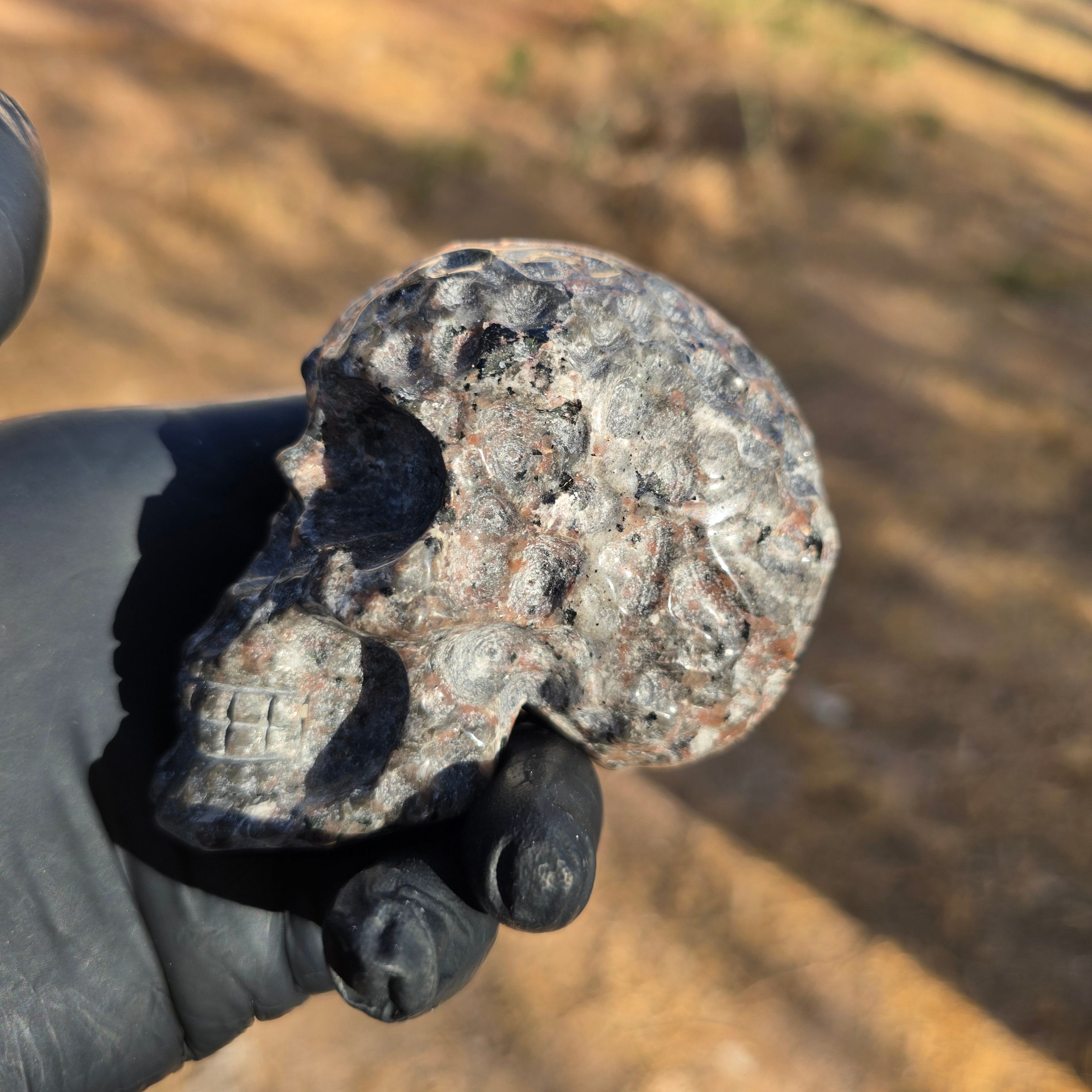 Skulls | Yooperlite Sugar Skull