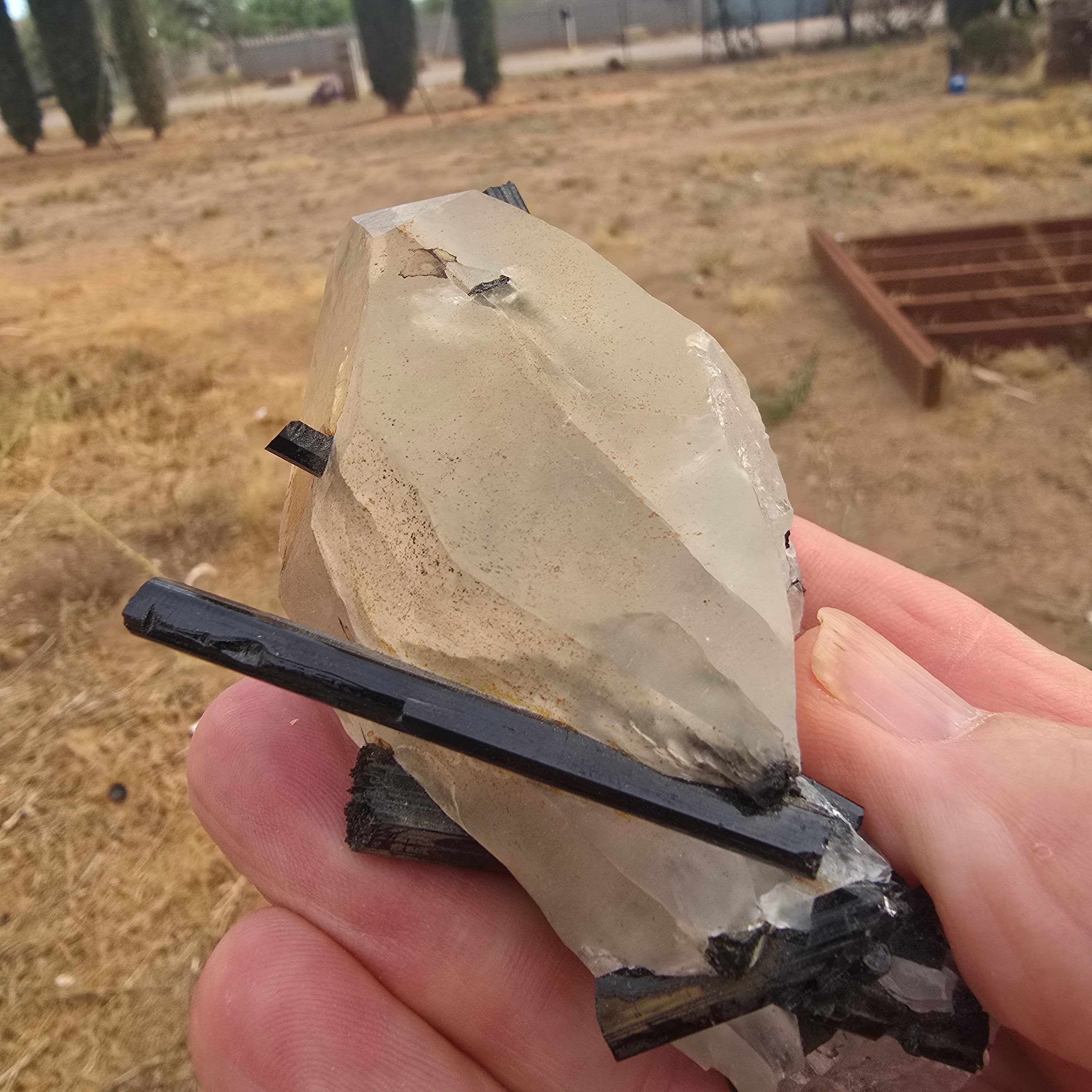 Minerals | Quartz w Tourmaline
