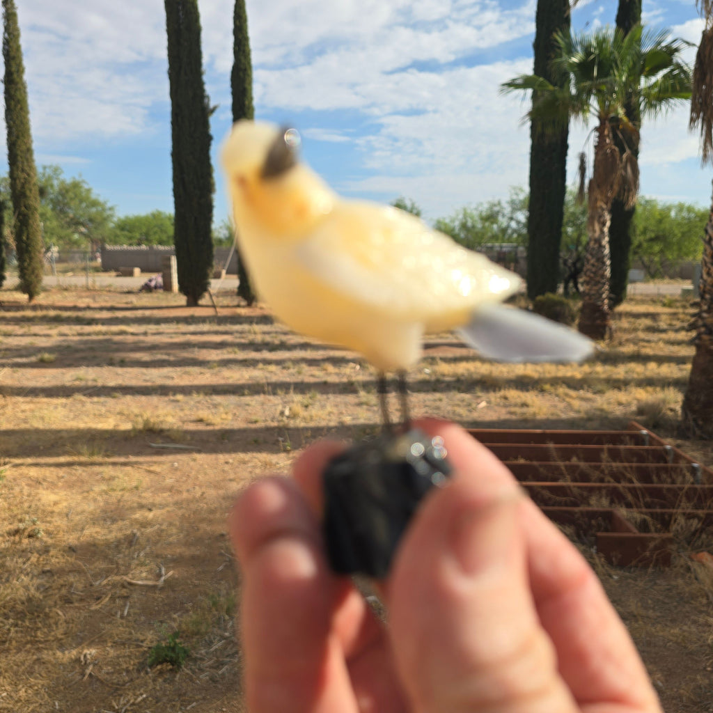 Carvings | Hand Carved Bird Peru