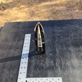 Fossils Freestanding Orthoceras T80