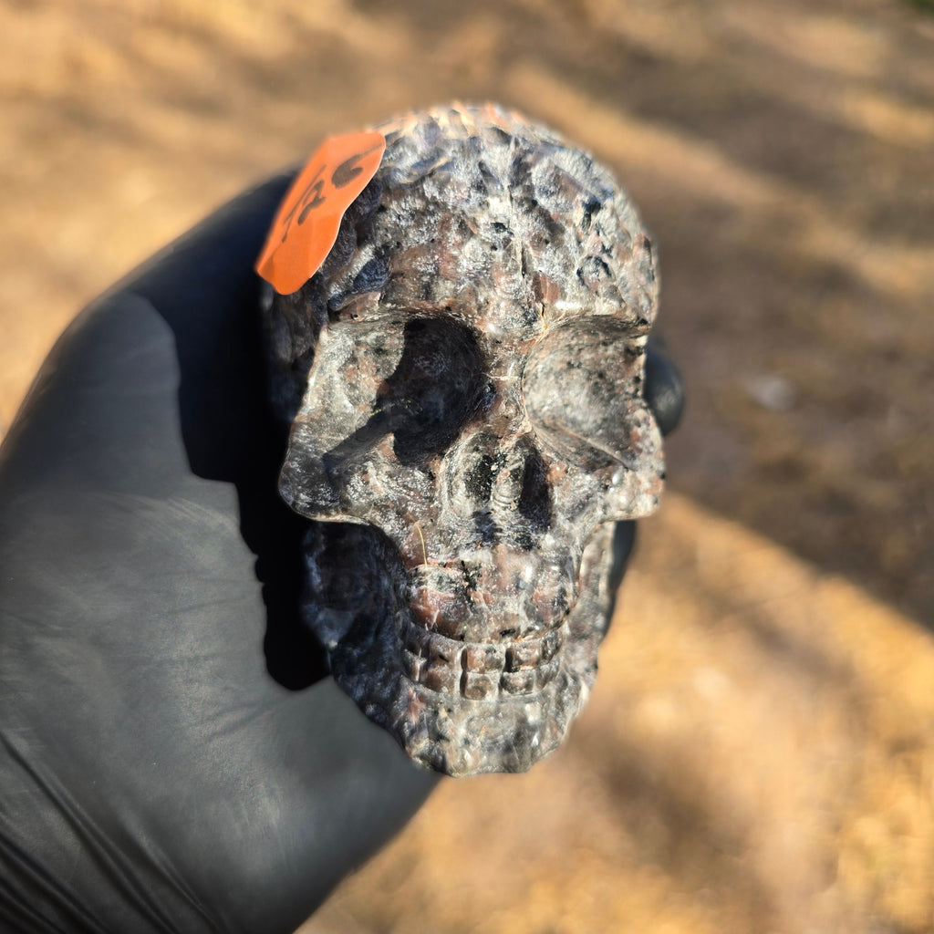 Skulls | Yooperlite Sugar Skull